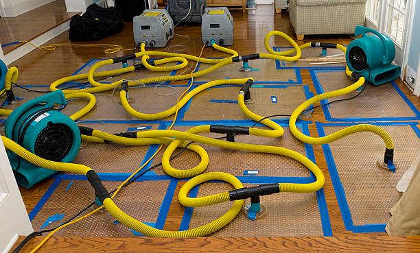 Professional Crawl Space Water Removal technician working in Villa Ridge, MO